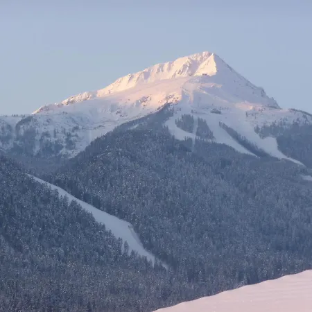 Finest Luxury Penthouse Royal Towers *