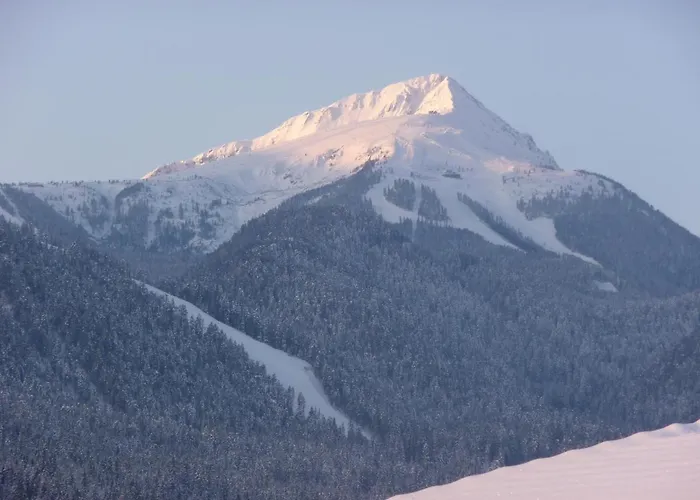 Finest Luxury Penthouse Royal Towers *